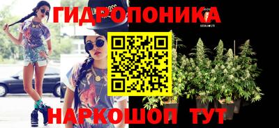 прущие крисы Краснокаменск