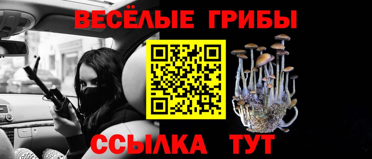Псилоцибиновые грибы GOLDEN TEACHER  Вход с VPN  Зима 